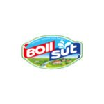 bollsut-logo